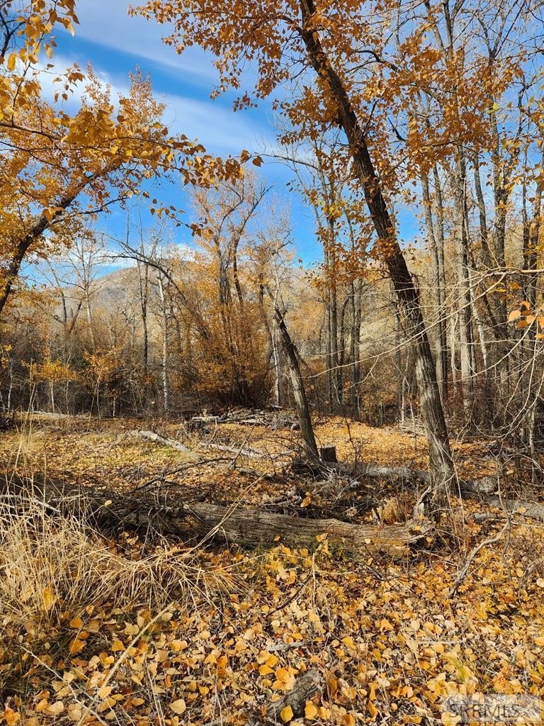 Creek Side Retreat Land