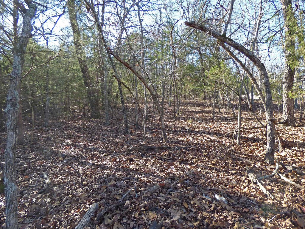 Picture 5