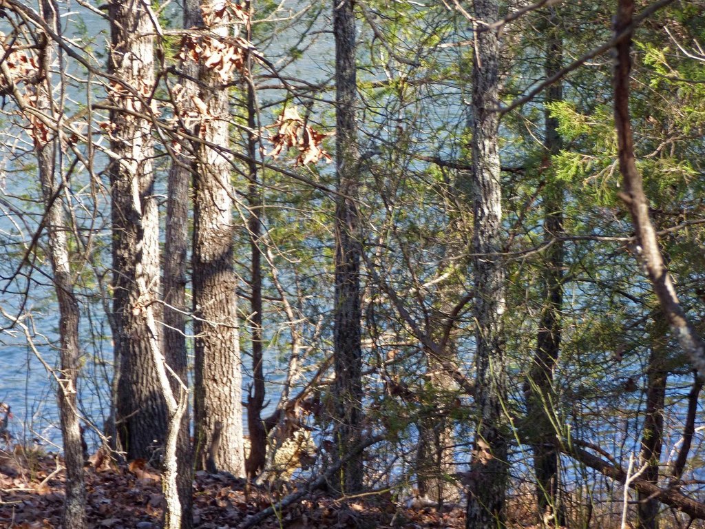 Picture 4