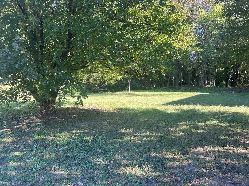 Picture 3