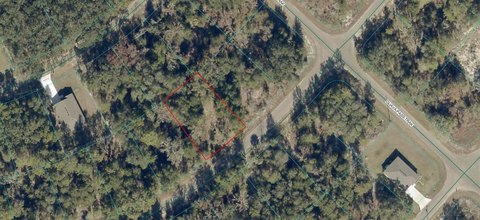 Land, OCKLAWAHA, FL