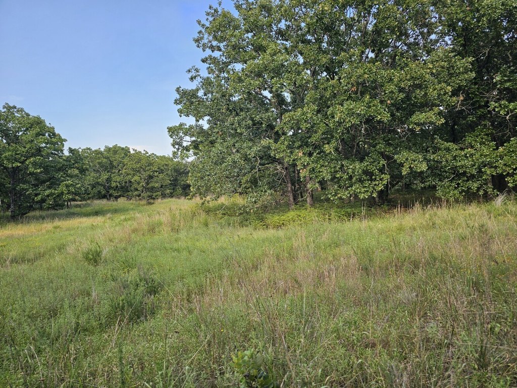 Picture 17