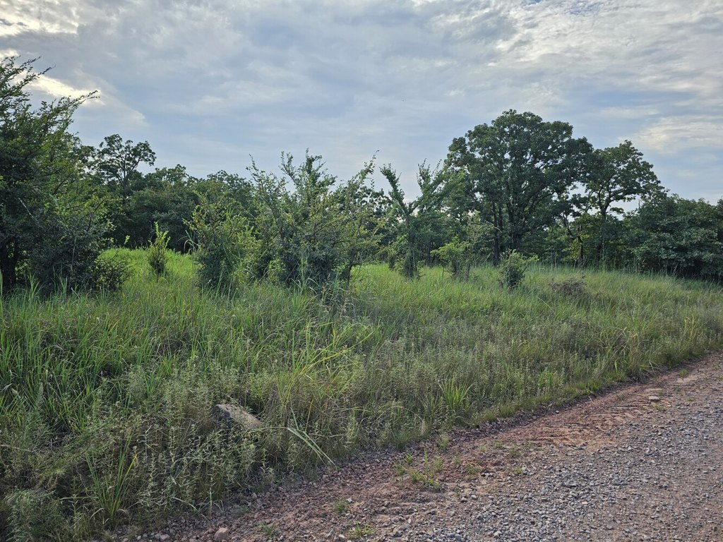Picture 28