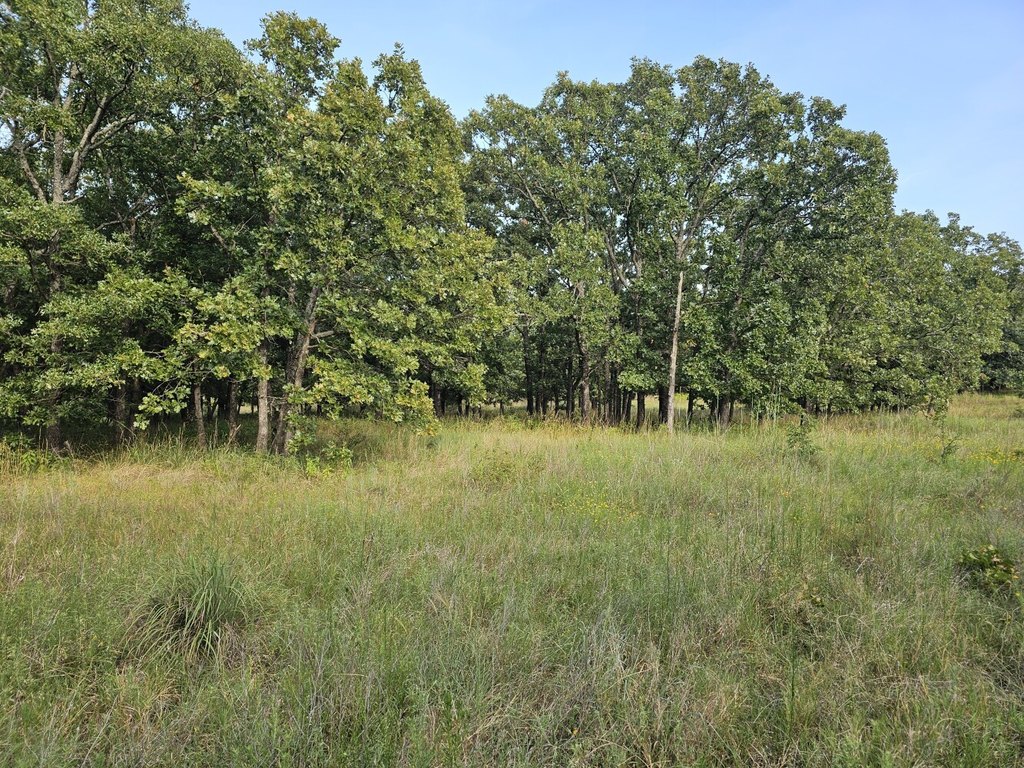 Picture 4