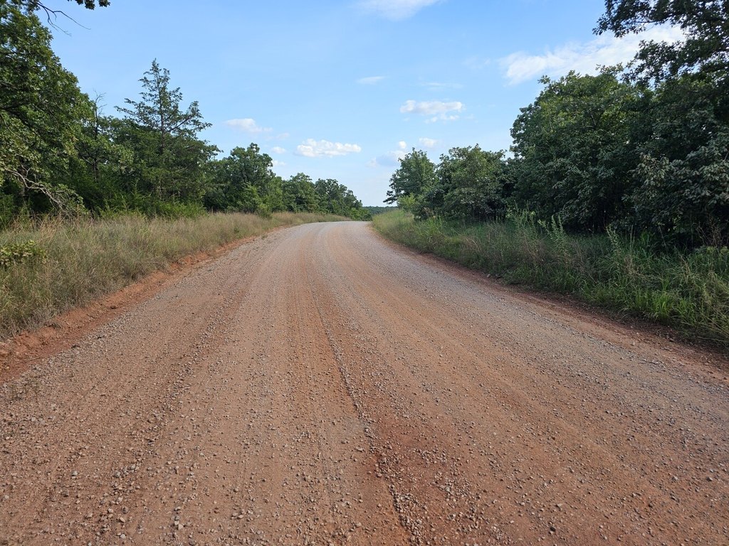 Picture 21
