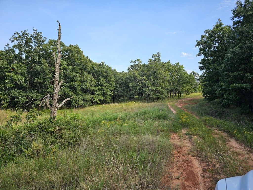 Picture 8