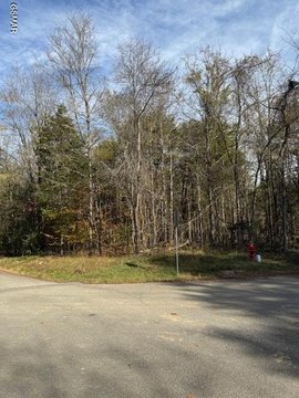 Baneberry, TN Corner Lot