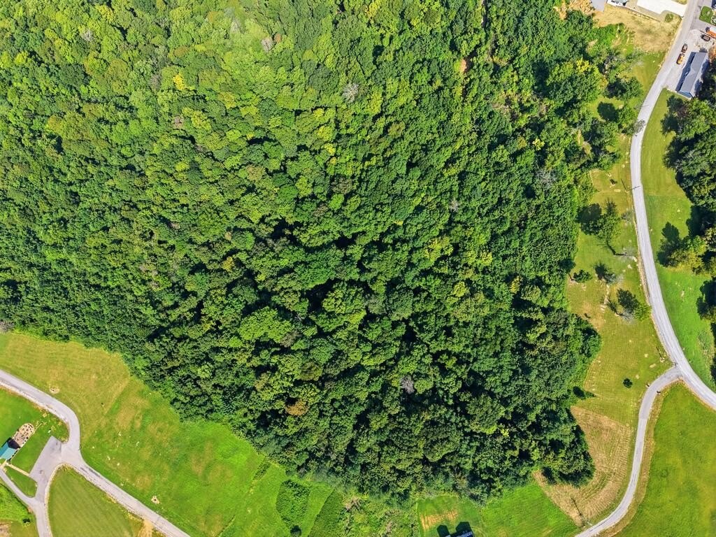 Picture 10