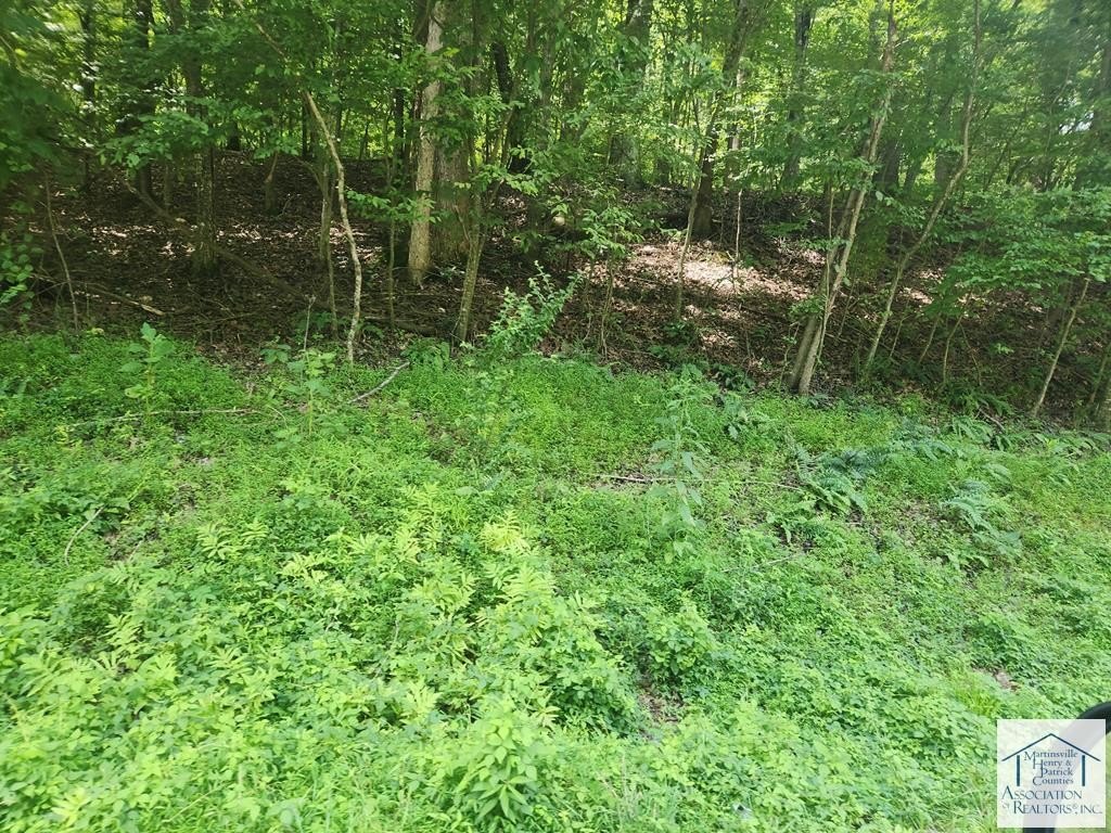 Residential Land in Martinsville, VA