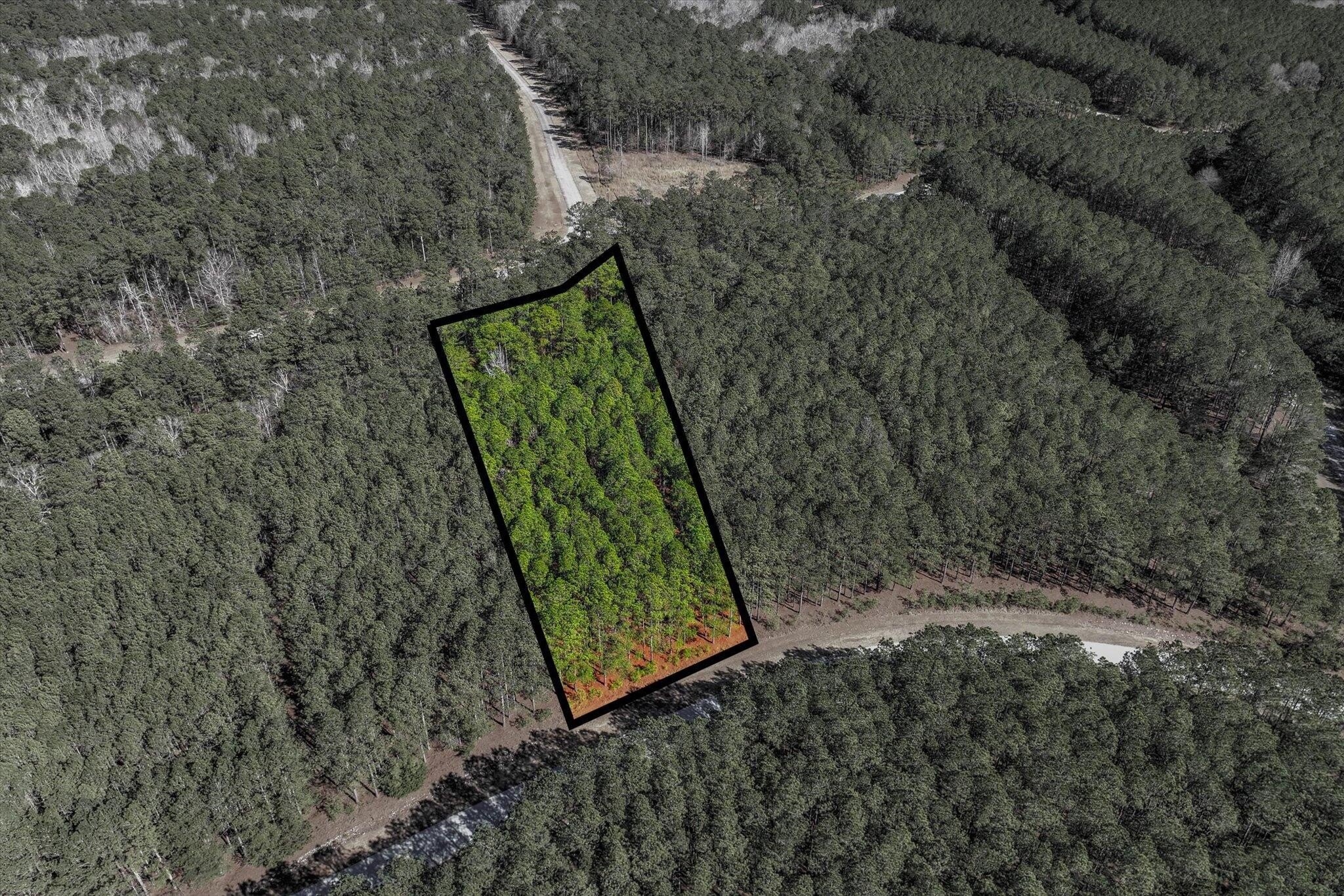 Land in Lake Neighborhood