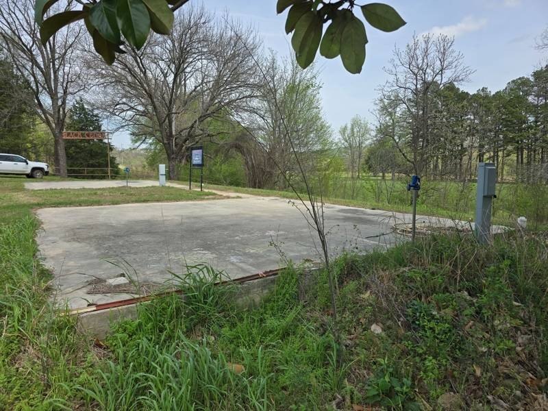 Picture 25