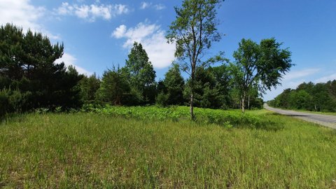 Kaleva Hunting Land with Acreage