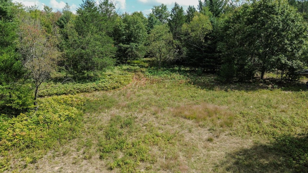 Picture 8