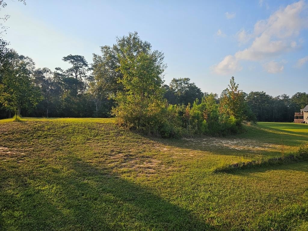 Spacious Lot Near Downtown Picayune