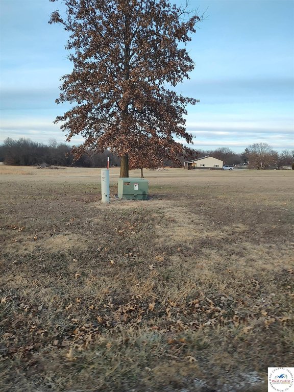 Picture 11