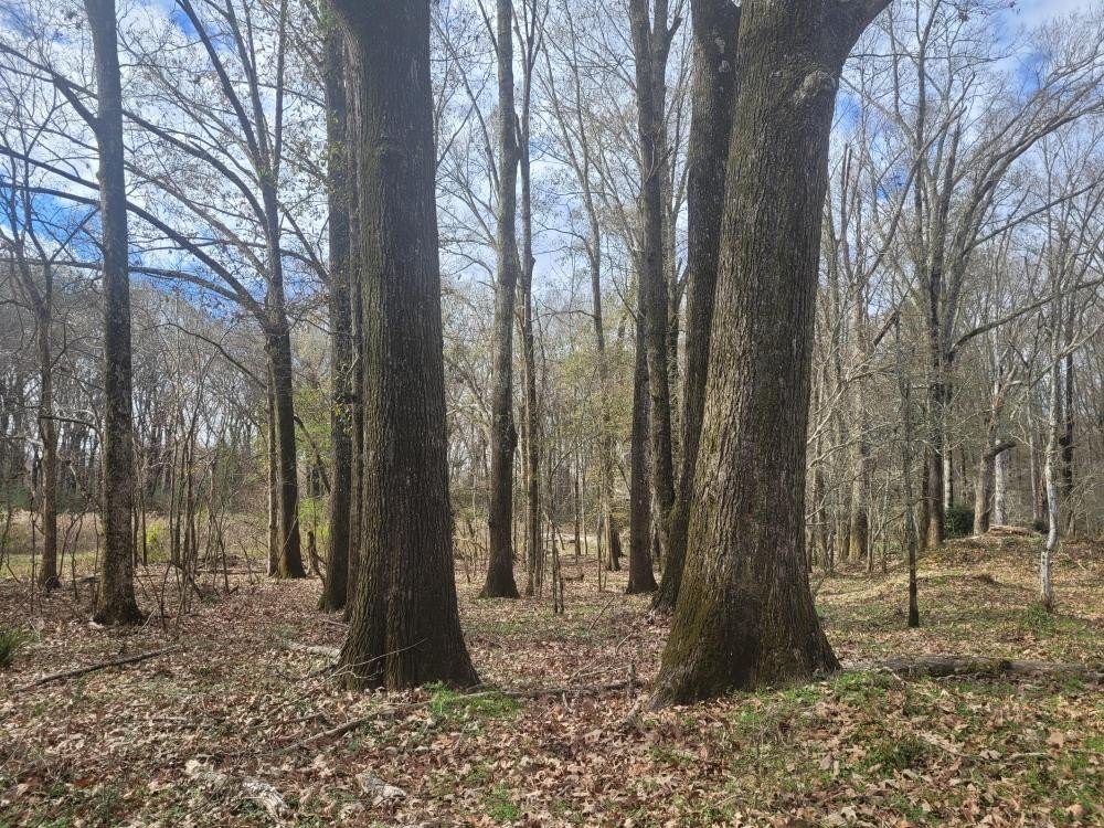 Picture 3