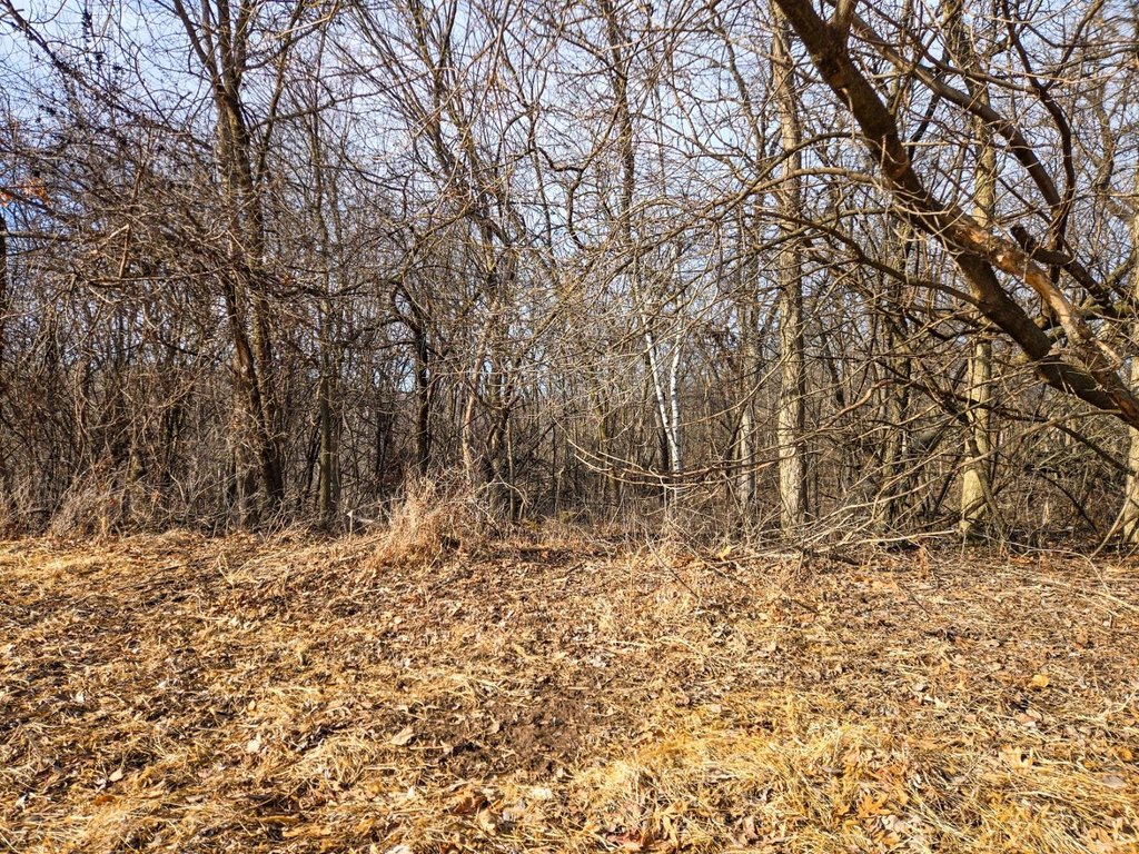 Picture 57