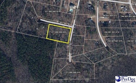 LAND - Cheraw, SC
