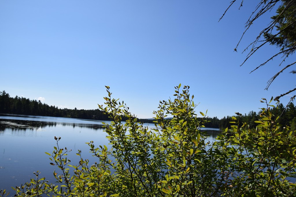 Picture 9