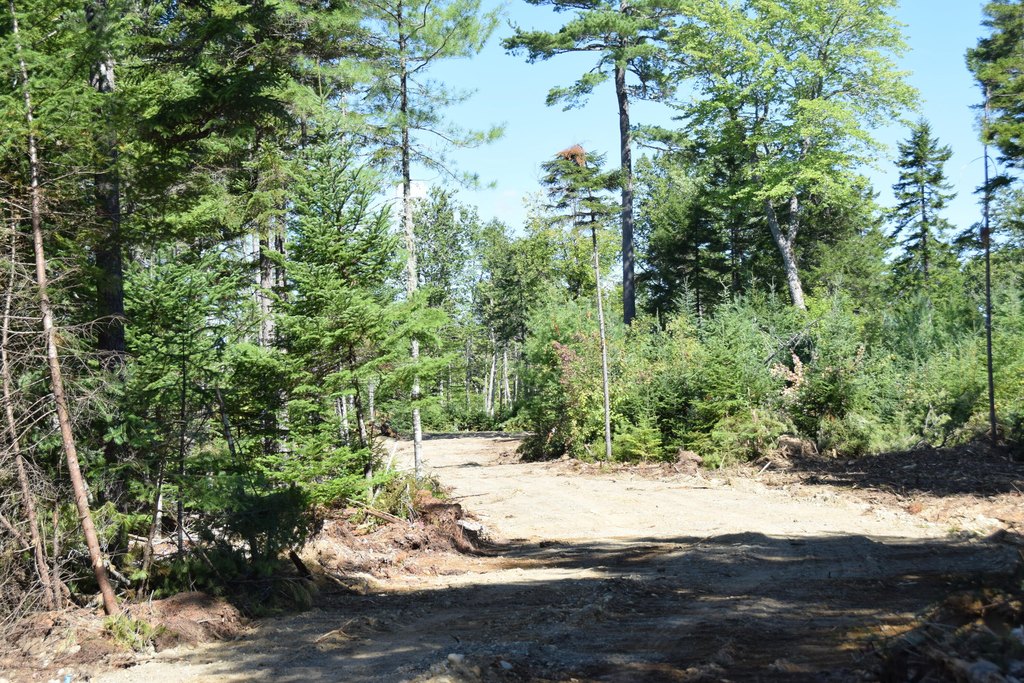 Picture 3
