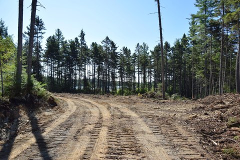 Land, Carrying Place Twp, ME