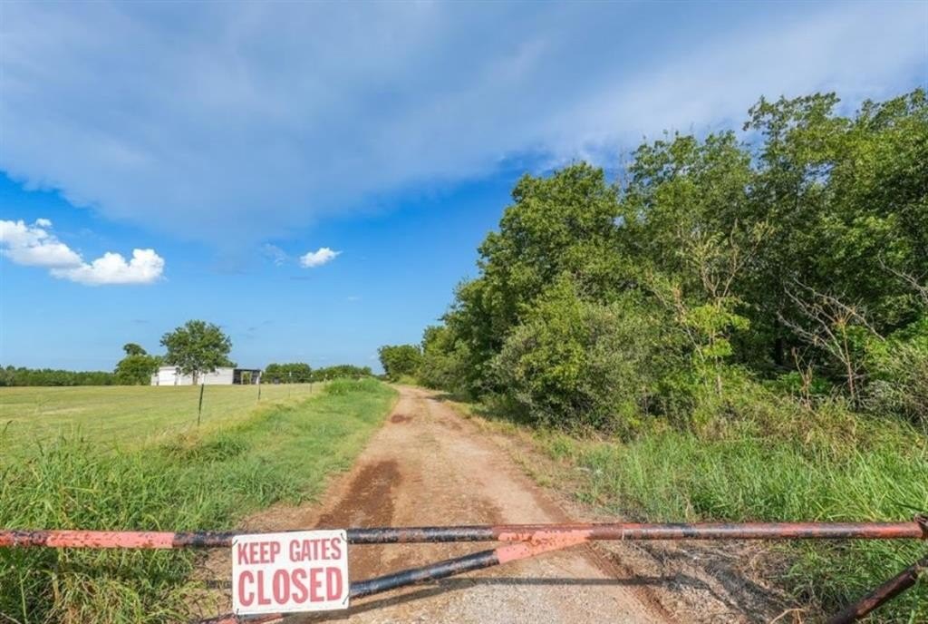 Picture 35