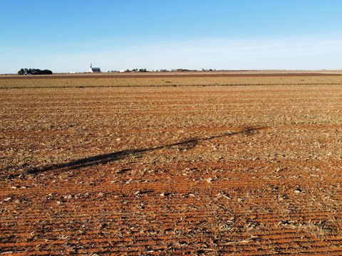 Land, Ropesville, TX