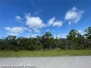 Vacant Lot Near Lake Clay