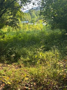 LAND - Printer, KY