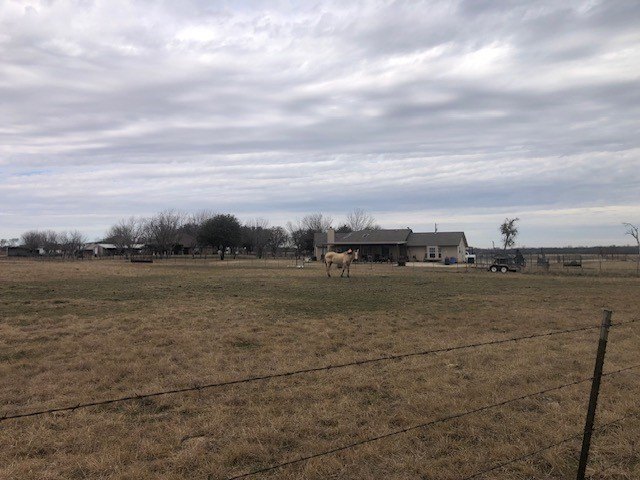 Picture 14