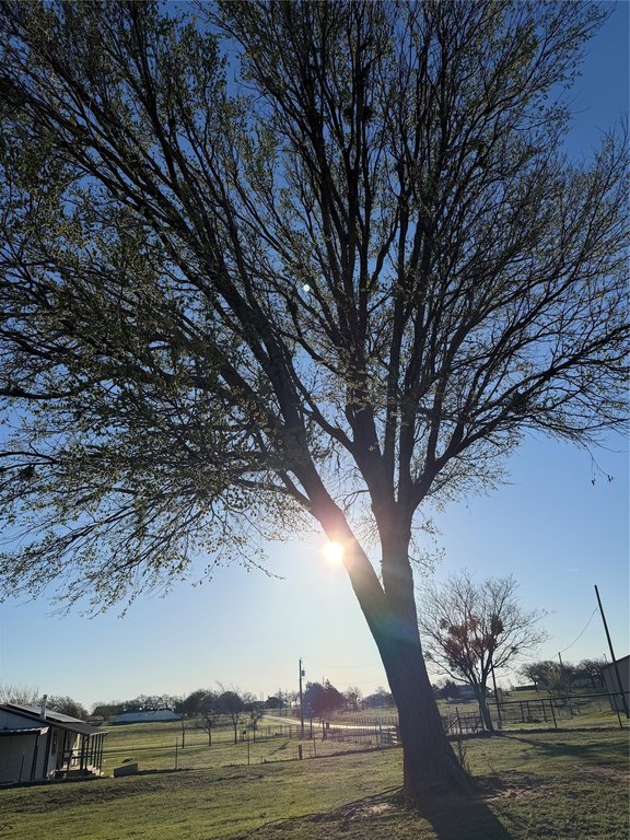 Picture 15