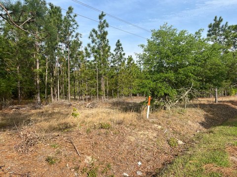 Unrestricted Country Land Tract