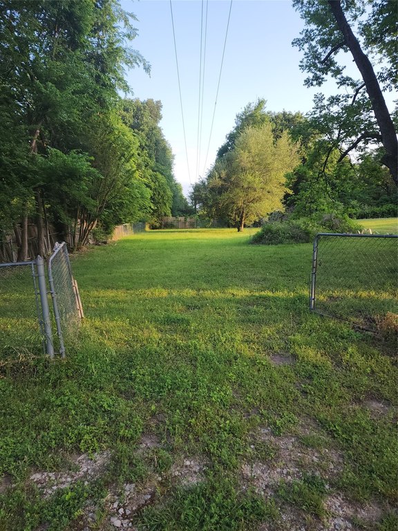 Picture 5