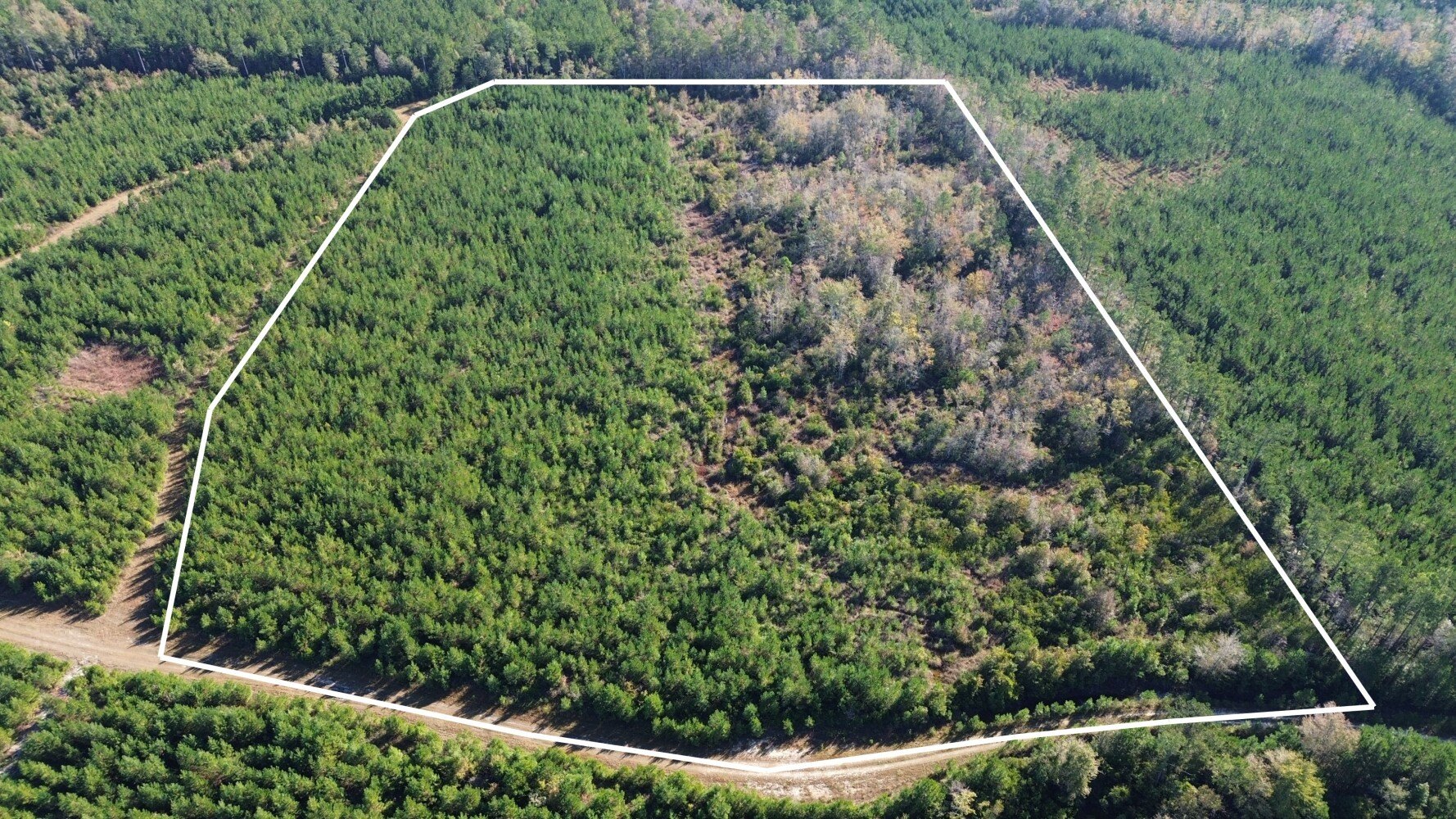 16 Acres of Vacant Land
