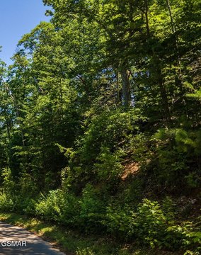 Gatlinburg Land with Mountain Views