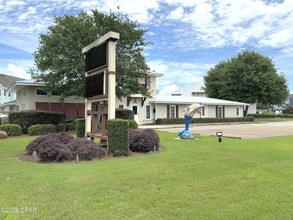 Picture 5