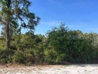 Acre Lot in Indian Lake