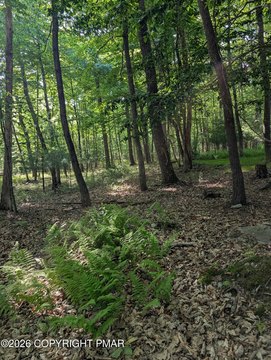 LAND - Milford, PA