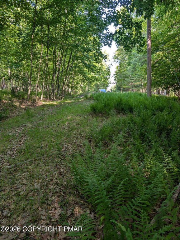 Picture 5
