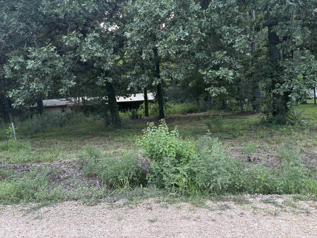 Picture 4