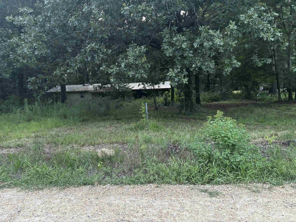Picture 5
