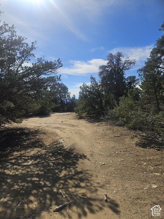 Picture 17