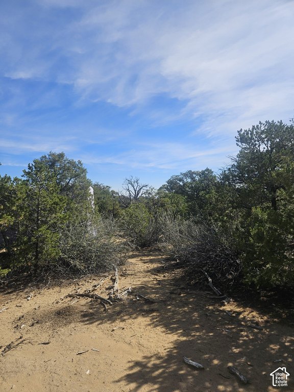 Picture 20