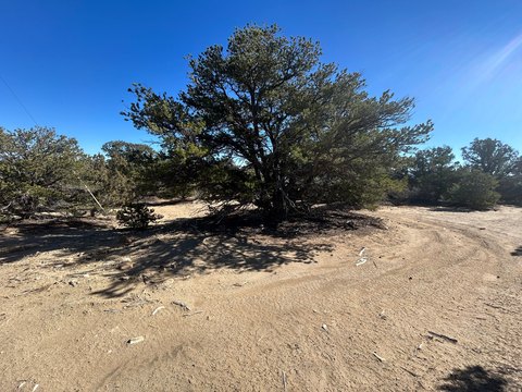 Land with New Camp Trailer