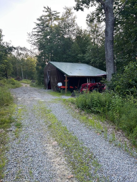 Picture 15