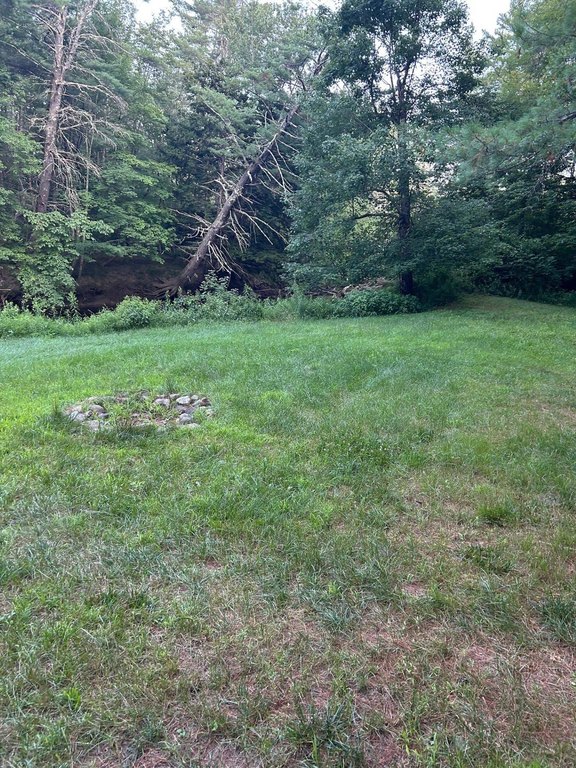 Picture 24