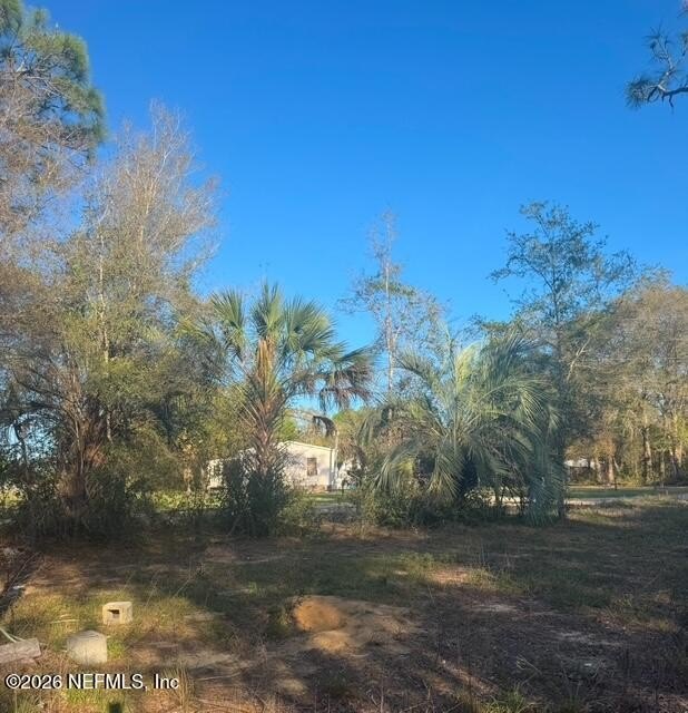 Corner Lot in Interlachen, FL