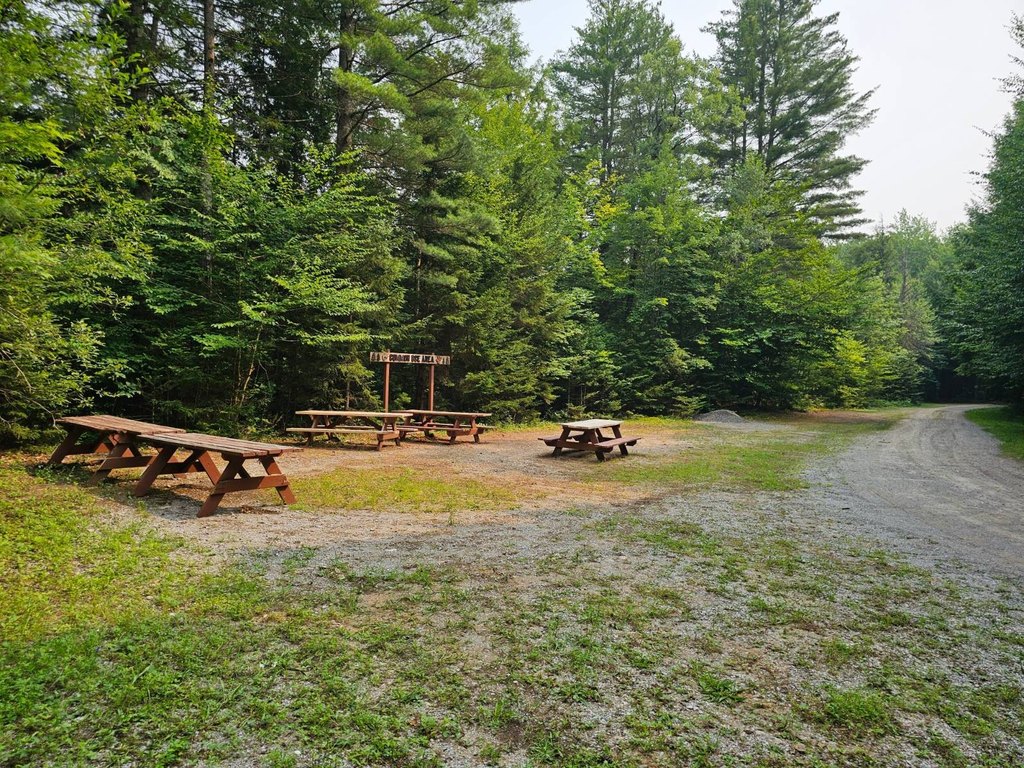 Picture 18