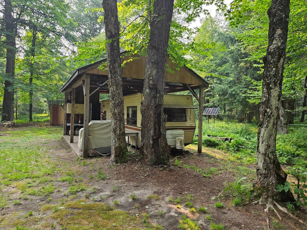 Picture 12