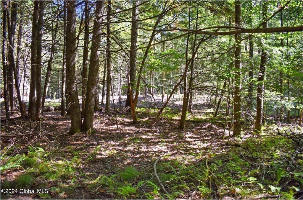 Picture 8